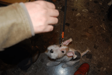 b0091373_13115894.gif