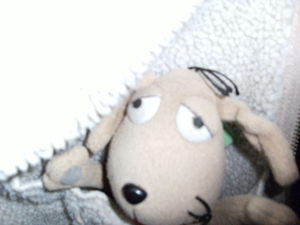 c0158573_715251.jpg
