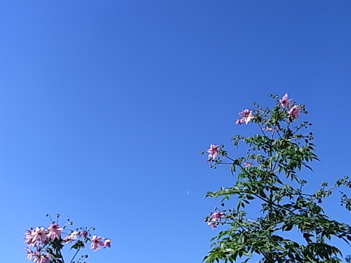 a0061977_1535125.jpg