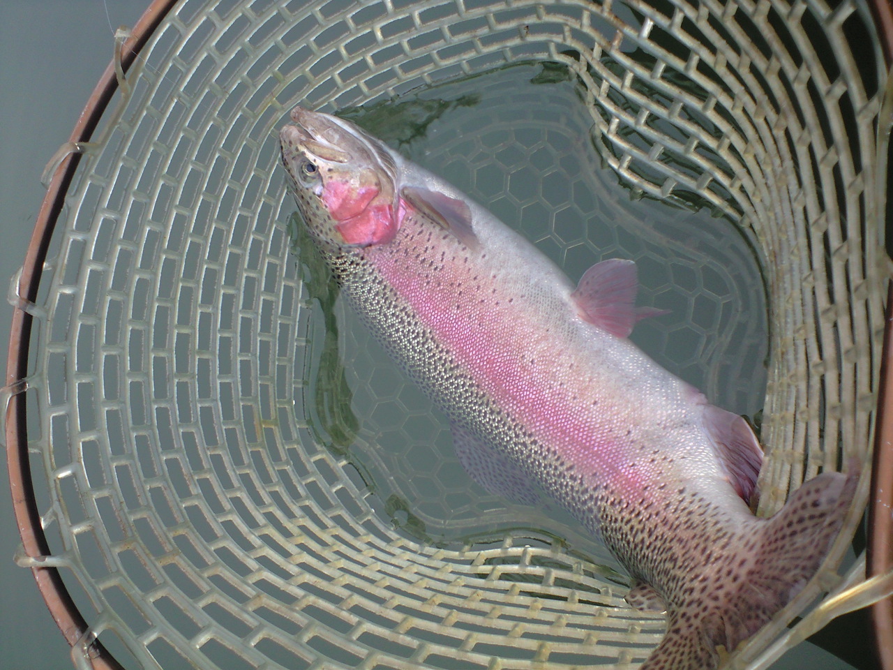 a0093677_2127385.jpg