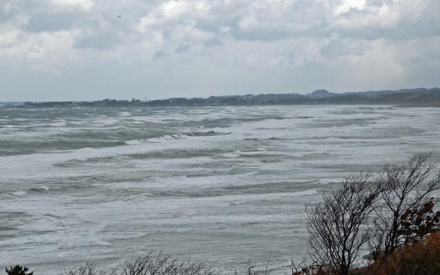 雪は落ち着いたが、日本海は大荒れ・・・_f0121379_17502083.jpg