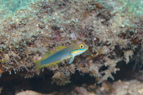 f0080385_20133691.jpg
