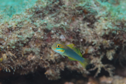 f0080385_2013548.jpg