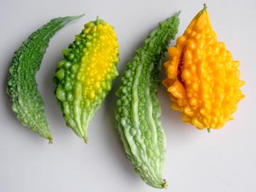 甘いゴーヤー_c0108695_32347100.jpg