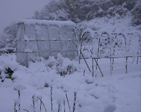 なんと，初雪が大雪に_c0151898_1042249.jpg