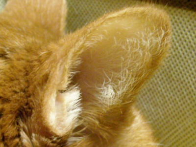 f0187700_934127.jpg