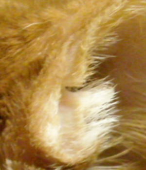 f0187700_935146.jpg