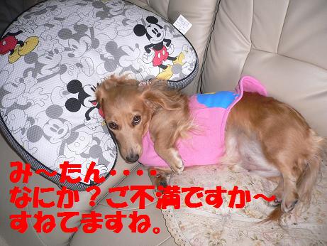 f0178701_20105055.jpg