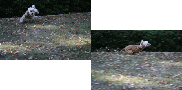 c0128303_12572053.gif