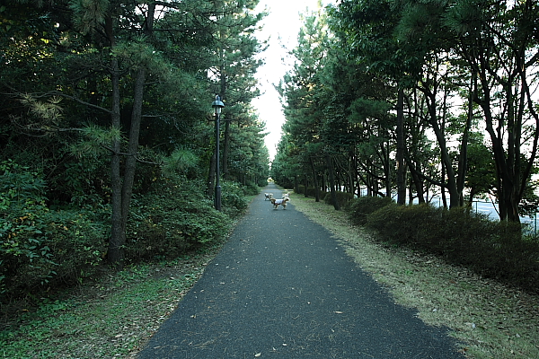 ほぼ地元　葛西臨海公園_e0117503_19252685.jpg