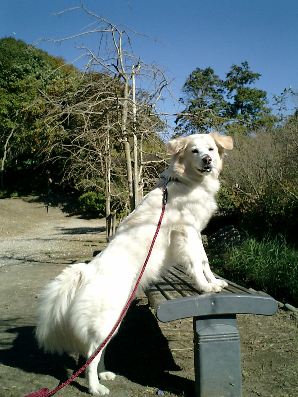 a0032004_14865.jpg