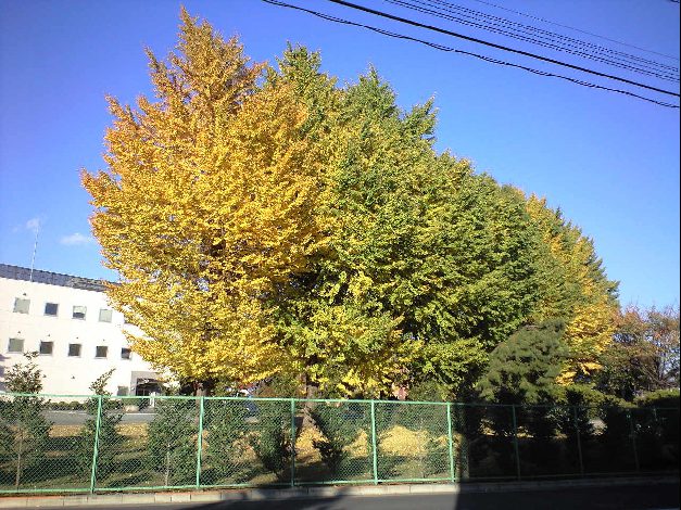 c0063108_23375271.jpg