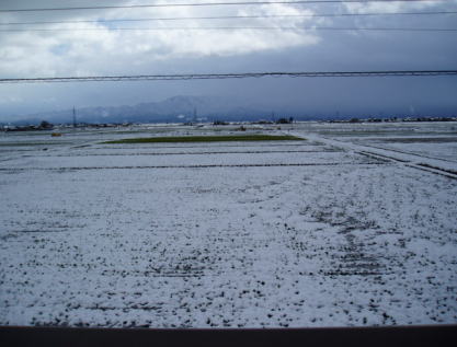 d0001008_959093.jpg