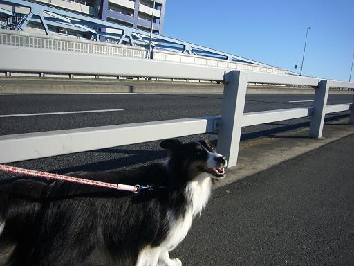 e0130008_1959150.jpg