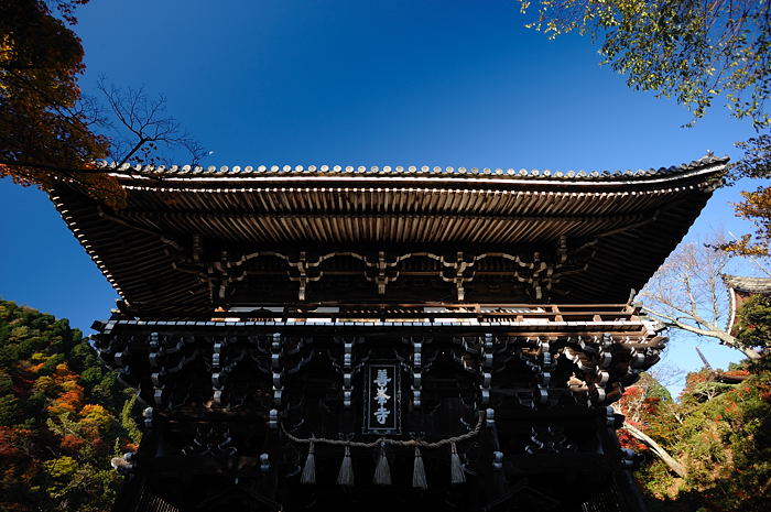 2008・京都の紅葉 善峰寺編其の一_f0032011_1957886.jpg