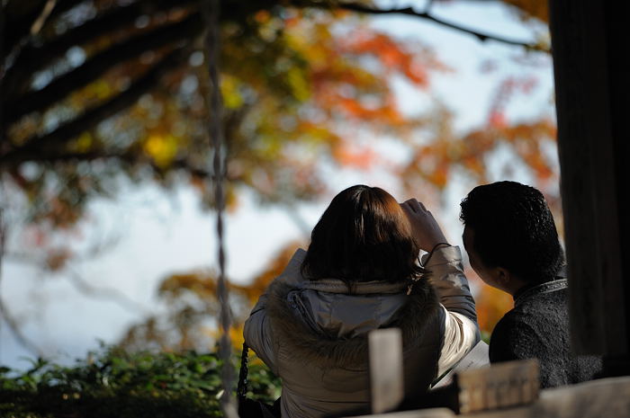 2008・京都の紅葉　善峰寺編其の一_f0032011_2012696.jpg