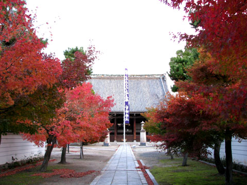 紅葉盛り　妙顕寺_e0048413_21381899.jpg