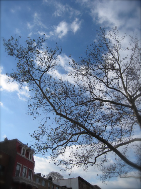 c0120817_7294317.jpg