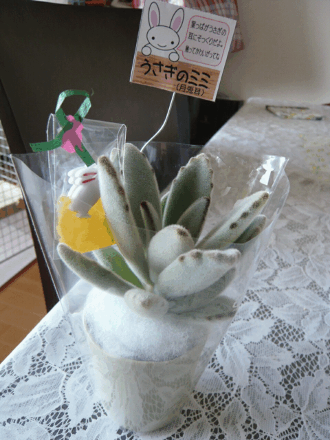 c0151439_10123094.gif