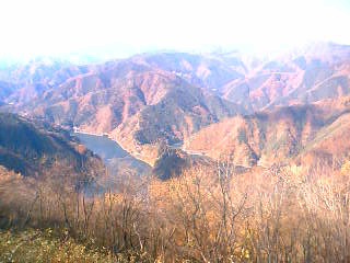 e0069647_1435761.jpg