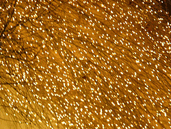 d0138852_18401330.gif