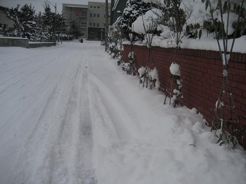 a0075455_7451637.jpg