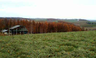 d0116059_9475100.jpg