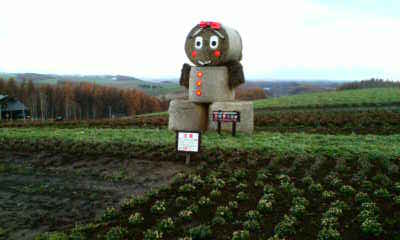 d0116059_9523030.jpg