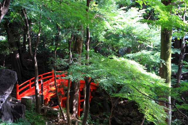 水戸黄門さまゆかりの庭園へ。。。その１_d0152261_14221991.jpg