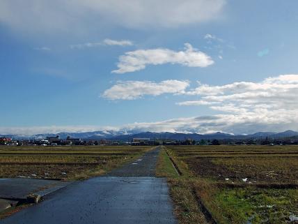 小松で　はじめて雪が積もった_f0103062_1503573.jpg