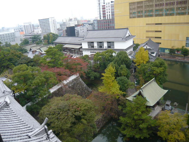 c0100865_1872016.jpg