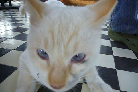 holidy!_c0153966_20425584.jpg