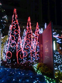 f0048372_003846.jpg