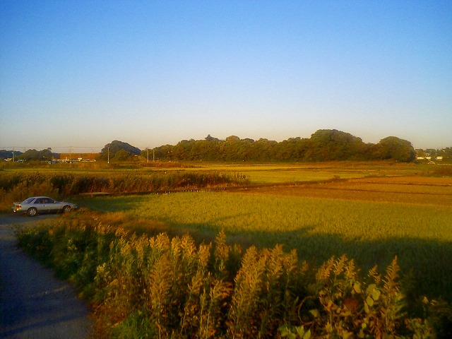 b0155973_22501223.jpg