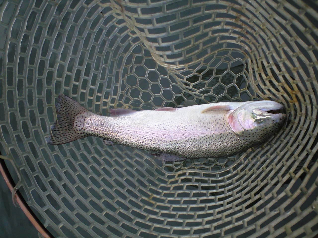 a0093677_22193258.jpg