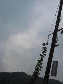 c0083179_043511.jpg