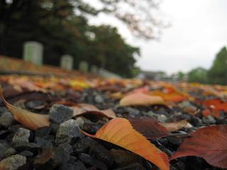c0083179_0452599.jpg