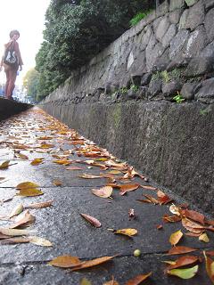 c0083179_0454090.jpg