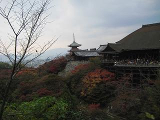 c0083179_1131441.jpg