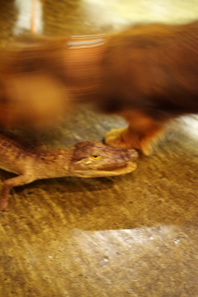 c0140281_21463851.jpg