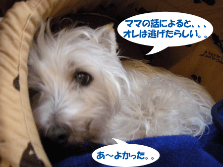 e0066883_2213369.gif