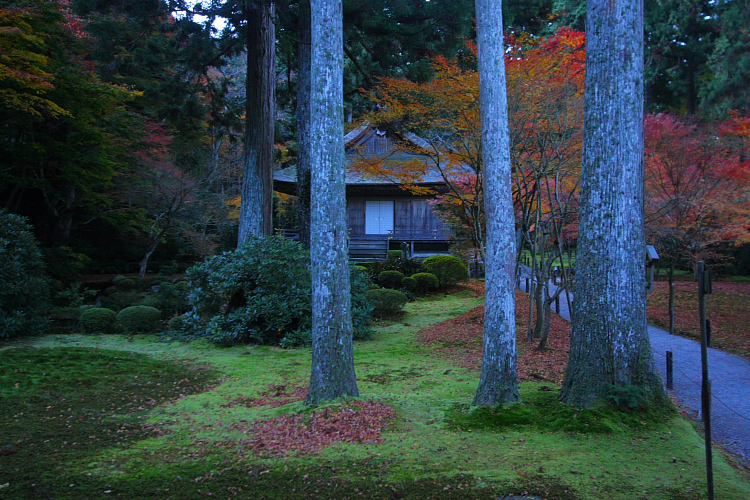 三千院_e0051888_2102157.jpg