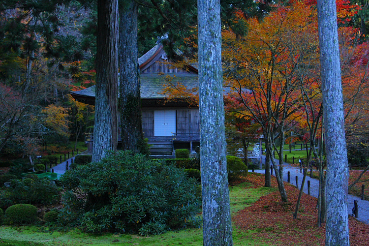 三千院_e0051888_2111989.jpg