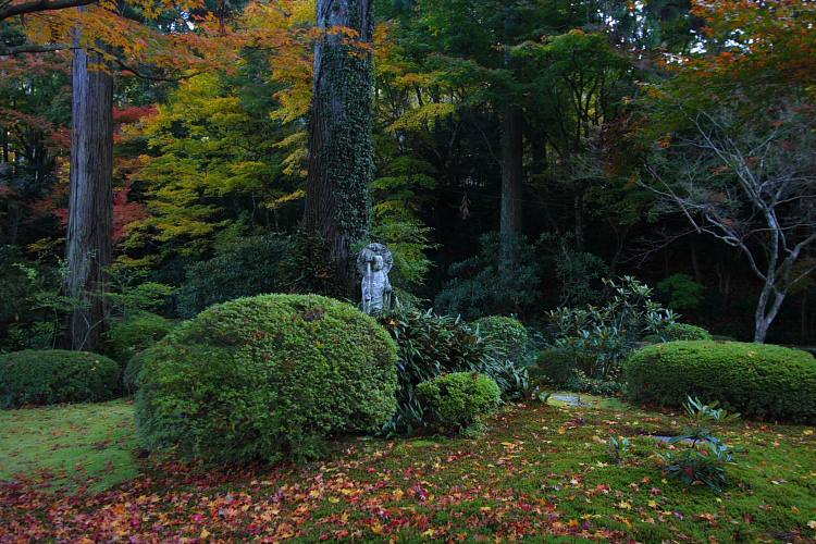 三千院_e0051888_2122729.jpg