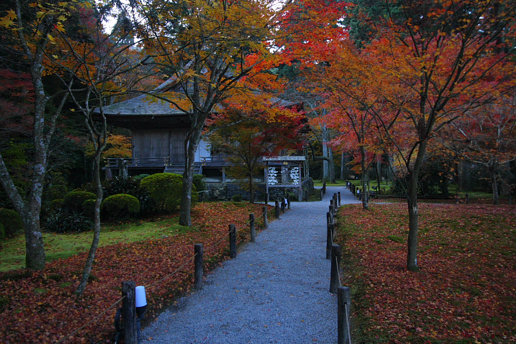 三千院_e0051888_2135691.jpg