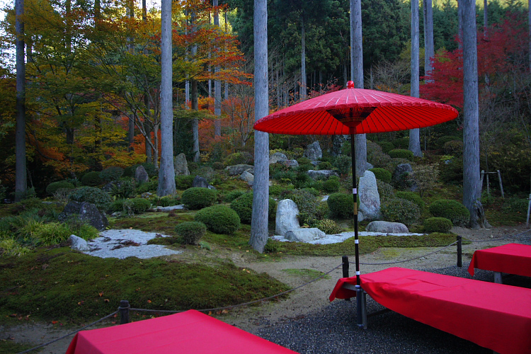 三千院_e0051888_216474.jpg