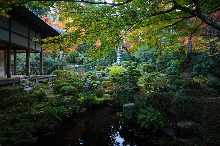 三千院_e0051888_29334.jpg