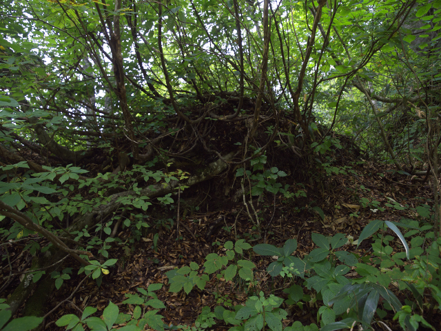 故郷の風景　やっぱり故郷はいいものです　_f0024992_1046288.jpg