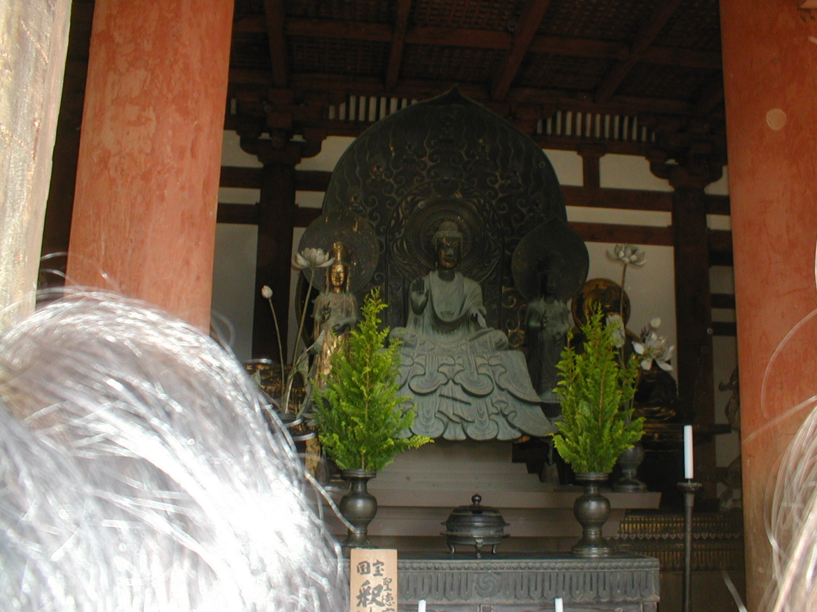 e0116694_23293459.jpg