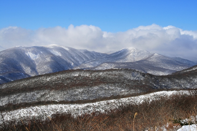 雪の泉ヶ岳_e0137200_1855265.jpg